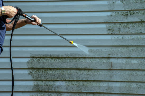 Best Exterior Home Cleaning  in Morrisville, NY