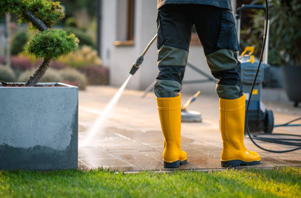 Best Affordable Pressure Washing  in Morrisville, NY